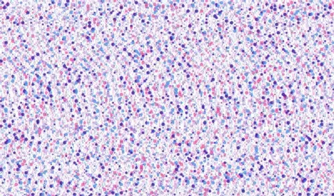 Generative Art - Dots