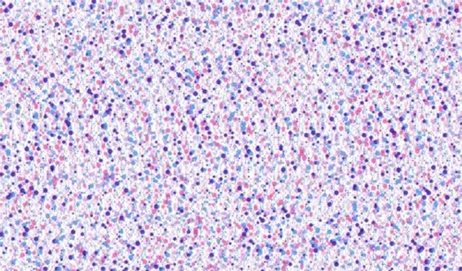 Generative Art - Dots
