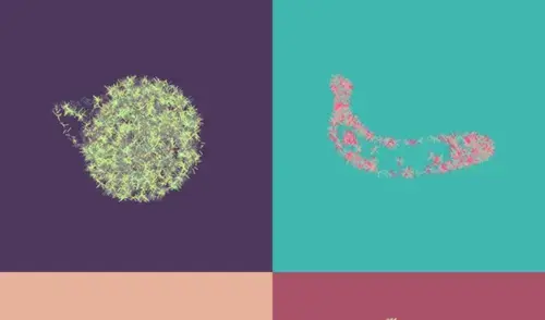 Generative Art - Fruits