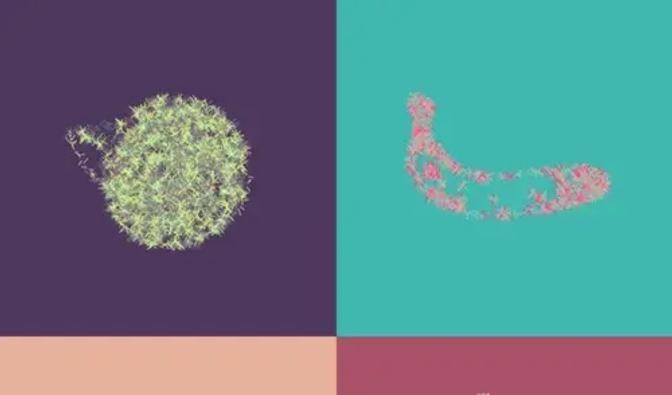 Generative Art - Fruits