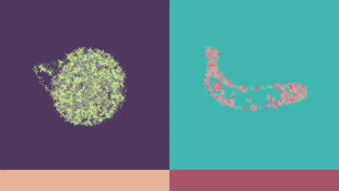 Generative Art - Fruits