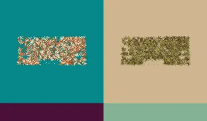 Generative Art - Keyboard